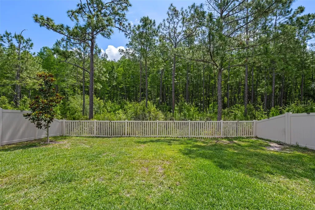 18242 Serene Lake Loop Lutz FL 33548