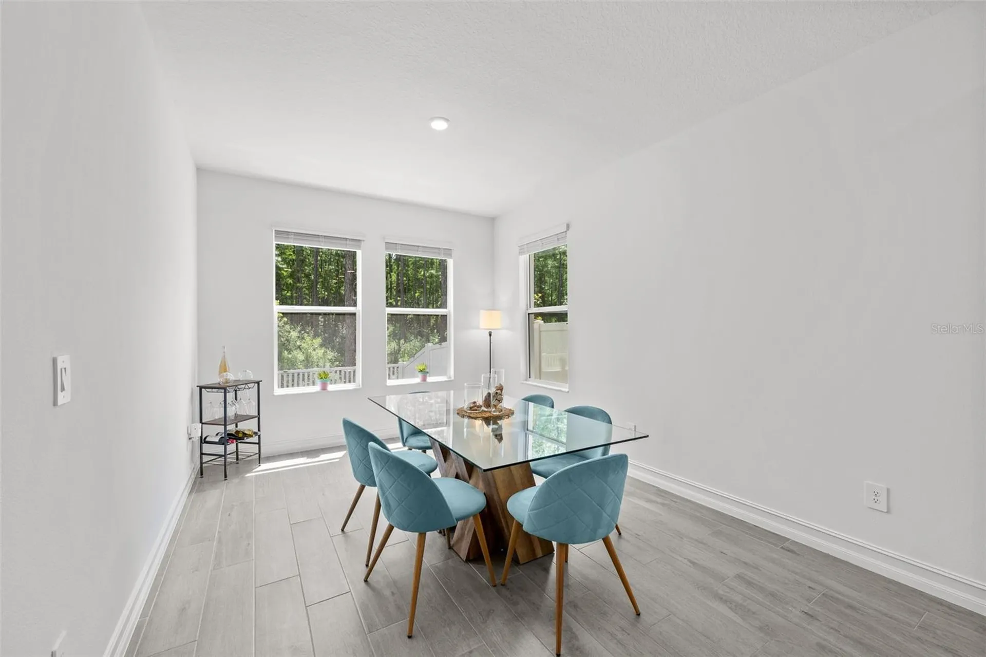 18242 Serene Lake Loop Lutz FL 33548