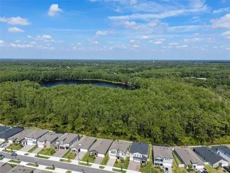 18242 Serene Lake Loop Lutz FL 33548