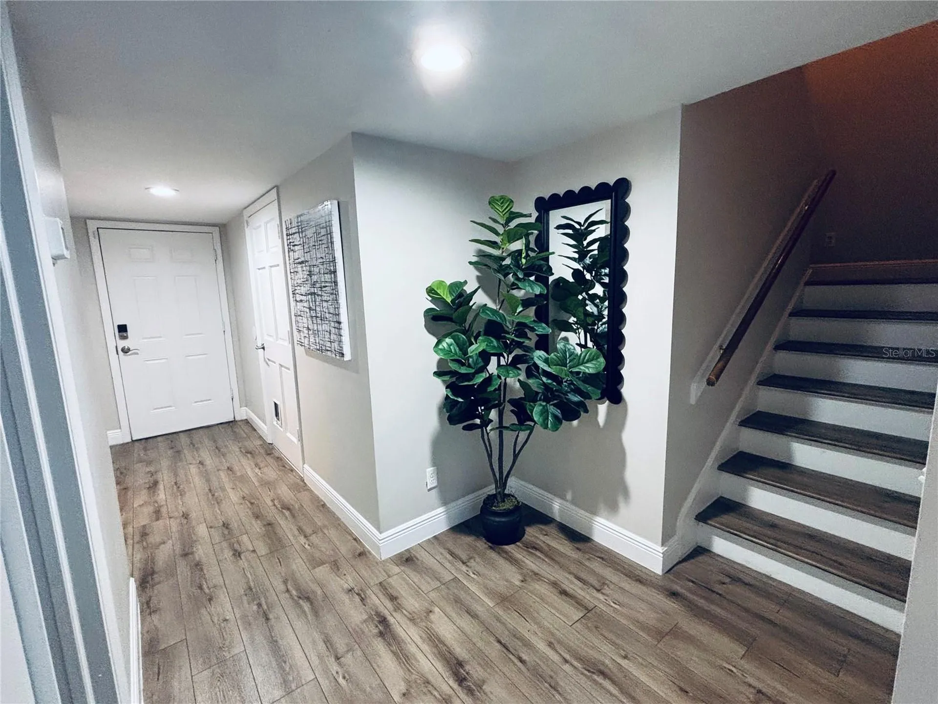 3530 Village Way Tampa FL 33629
