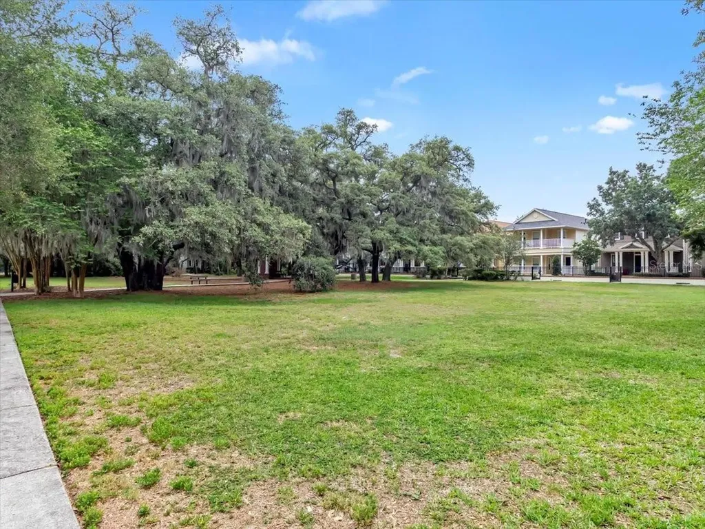 16033 Mulberrypark Circle Lithia FL 33547