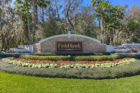 16033 Mulberrypark Circle Lithia FL 33547