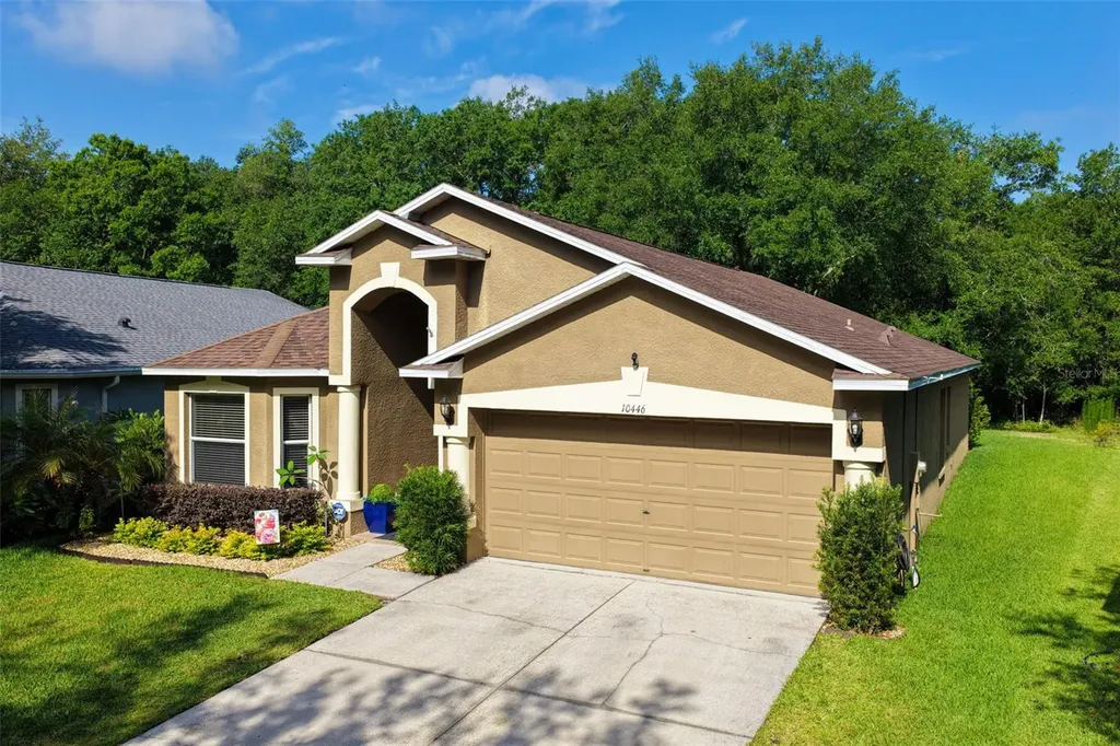10446 Lucaya Drive Tampa FL 33647