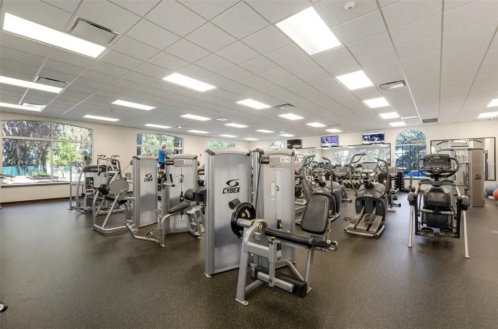 10446 Lucaya Drive Tampa FL 33647