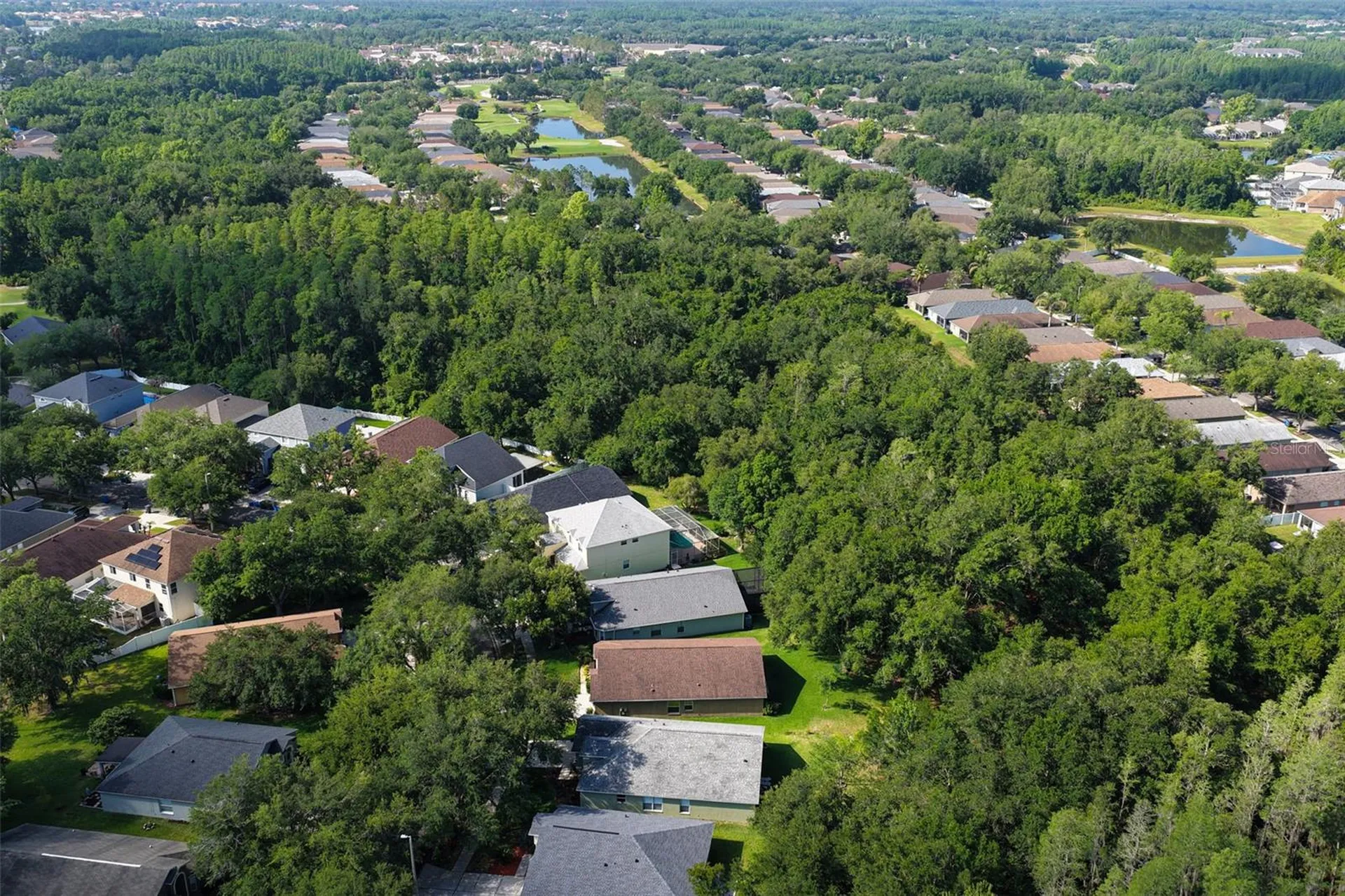 10446 Lucaya Drive Tampa FL 33647