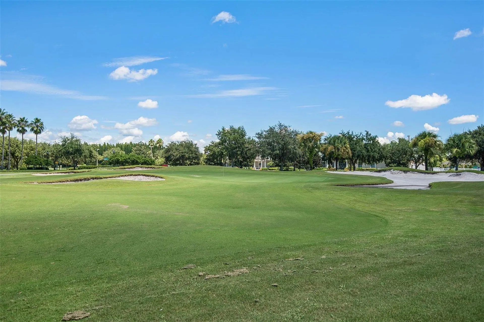 10446 Lucaya Drive Tampa FL 33647