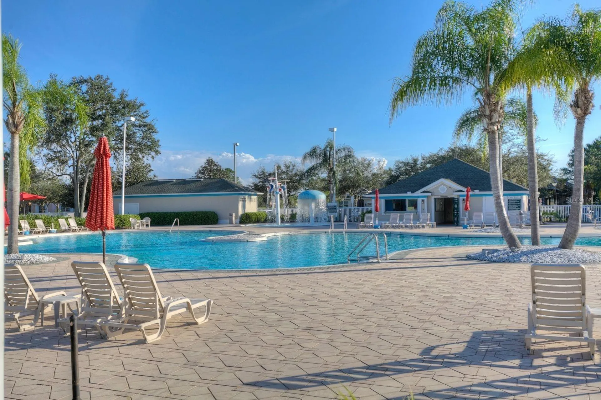 10446 Lucaya Drive Tampa FL 33647