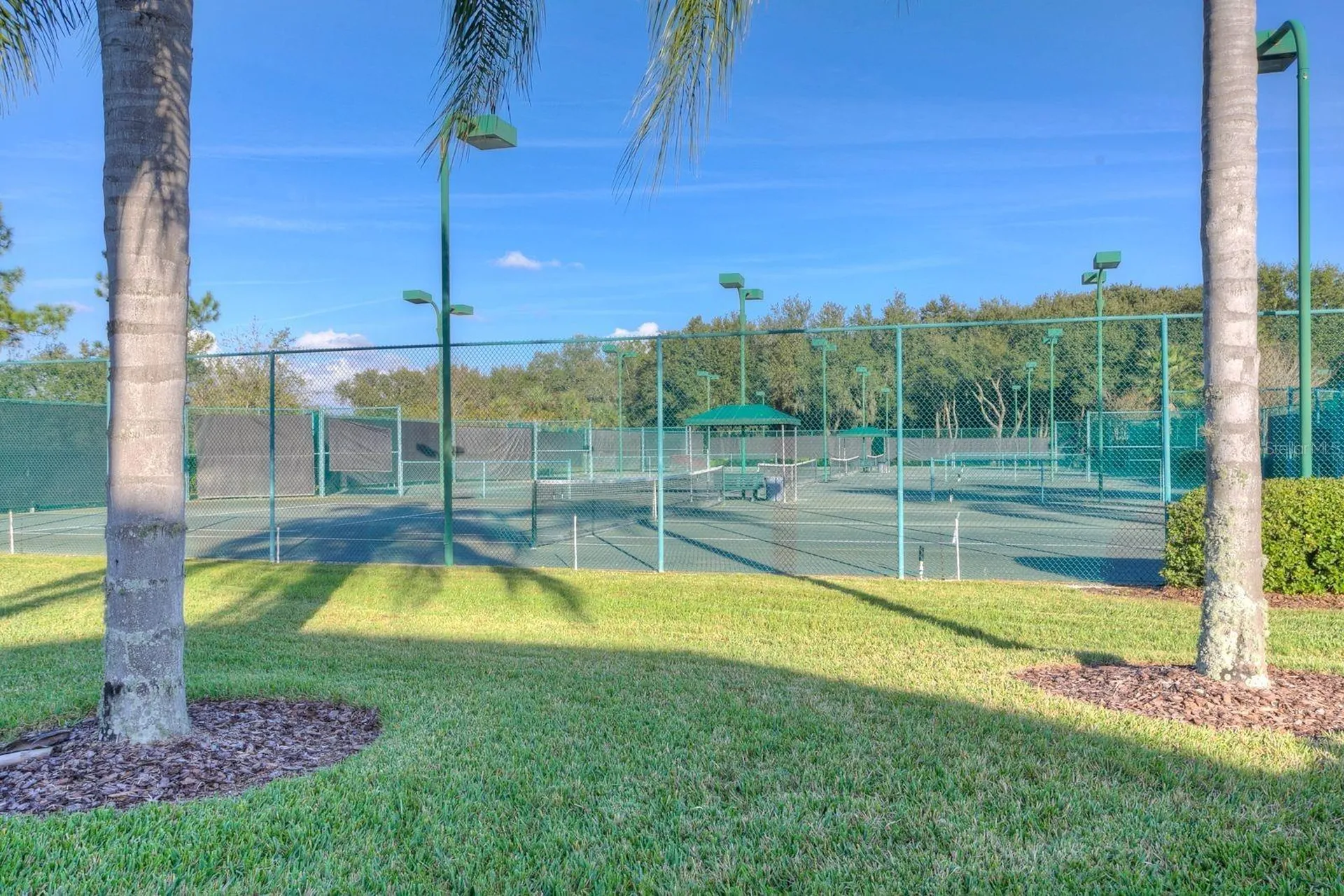 10446 Lucaya Drive Tampa FL 33647
