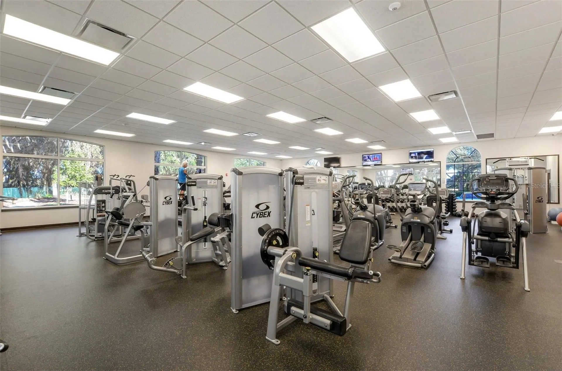 10446 Lucaya Drive Tampa FL 33647
