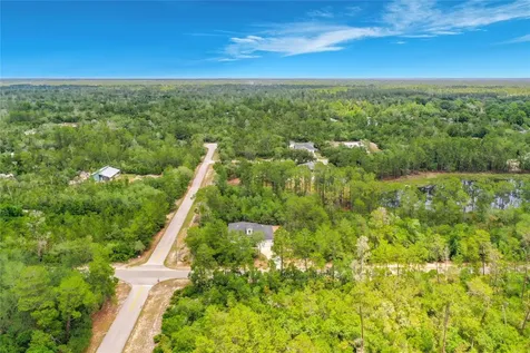 31825 Nutmeg Avenue Eustis FL 32736