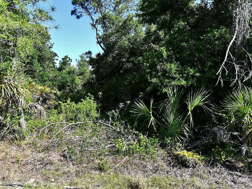 Lot 7 Barcelona Drive North Port FL 34288