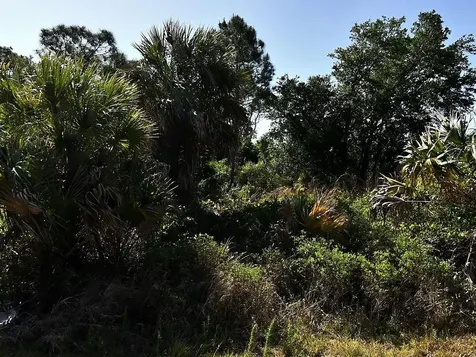 Lot 2 Bannock Circle North Port FL 34288