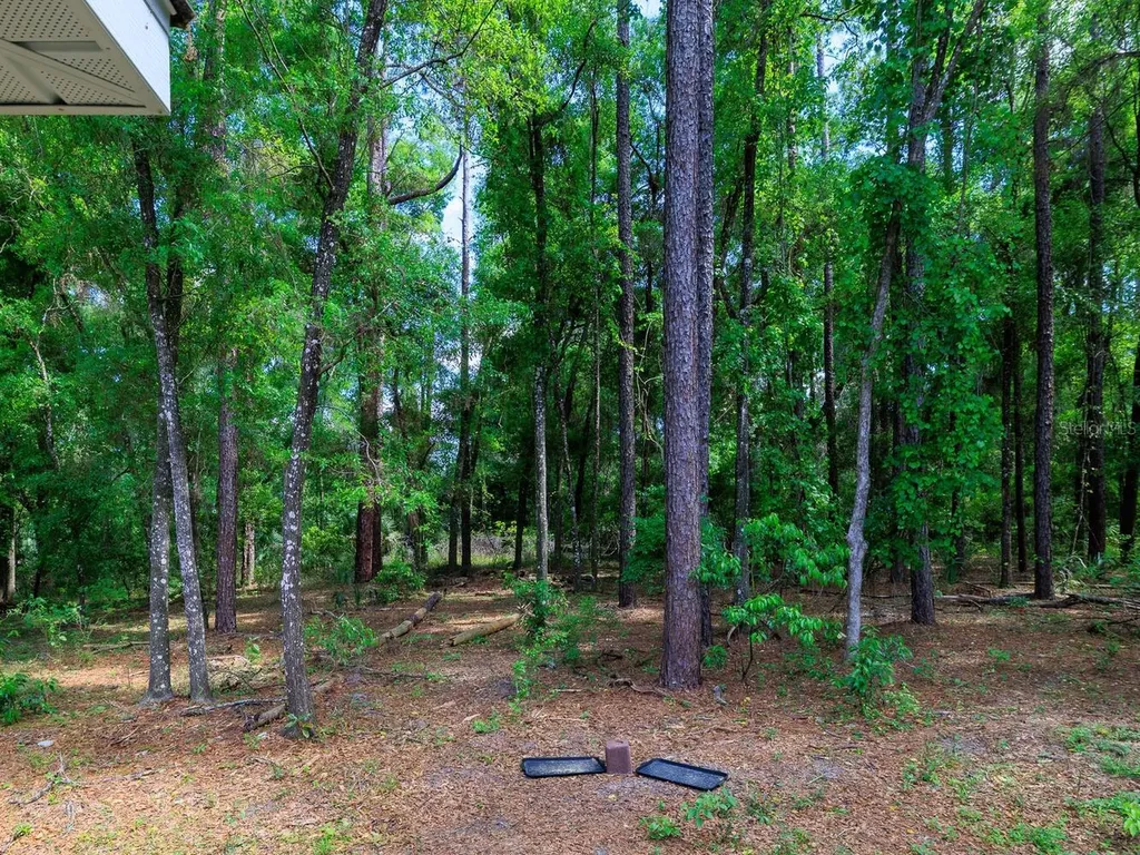 7695 SW 188th Avenue Dunnellon FL 34432