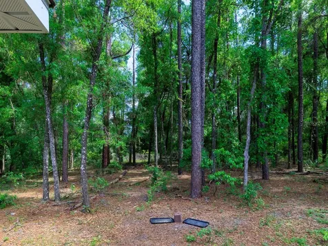 7695 SW 188th Avenue Dunnellon FL 34432