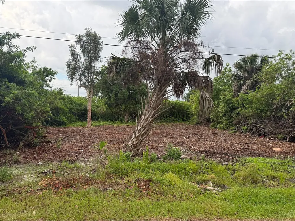 861 Burland Street Punta Gorda FL 33950