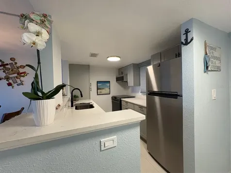 464 Paula Drive N Dunedin FL 34698