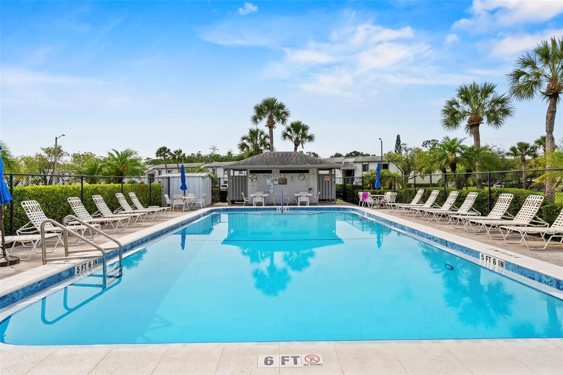 106 W Cypress Court Oldsmar FL 34677