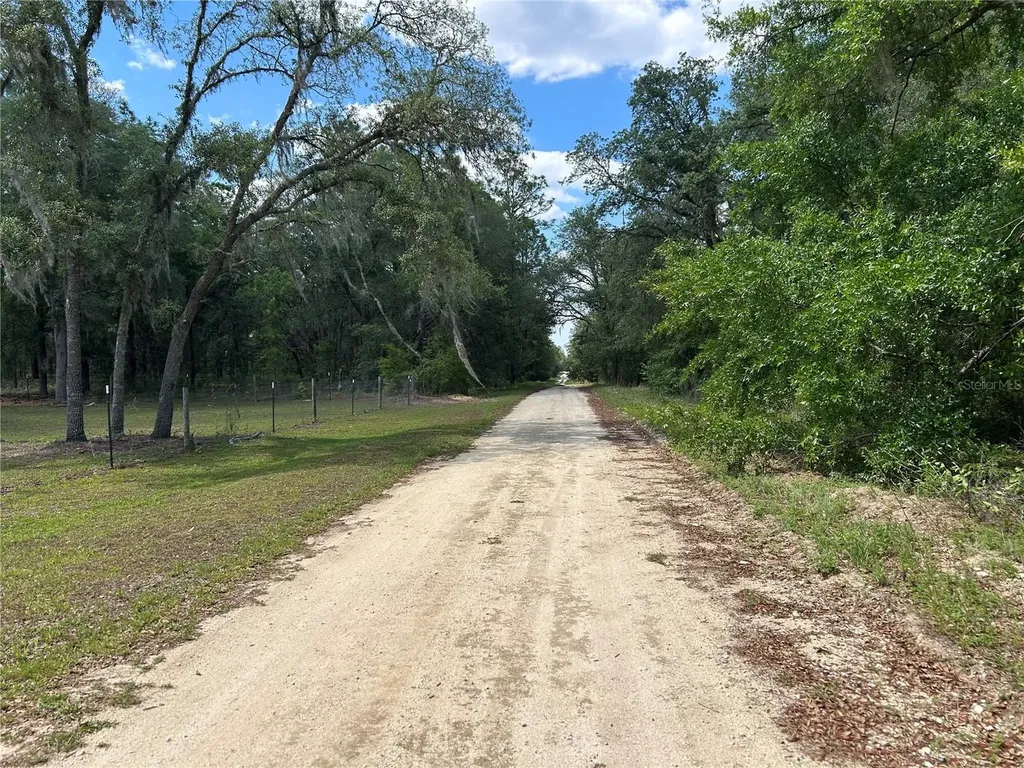 Tbd NE 123rd Avenue Williston FL 32696