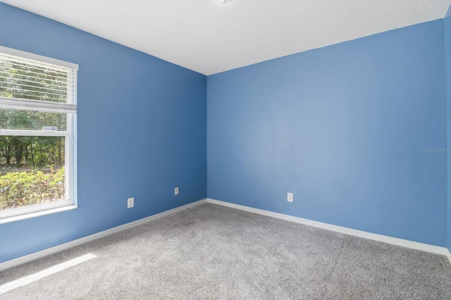 7630 N Galt Point Citrus Springs FL 34434