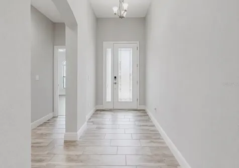 13121 Foxtail Fern Drive Riverview FL 33579
