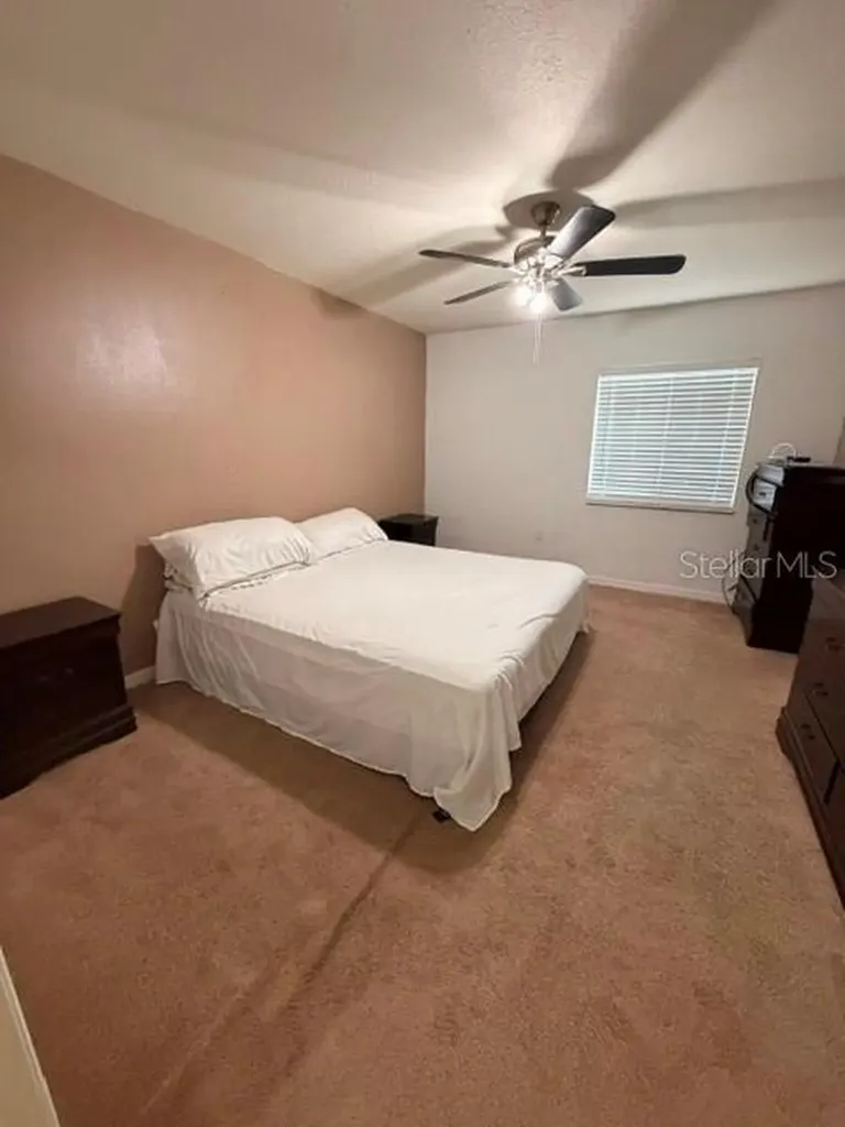 2491 Hassonite Street Kissimmee FL 34744