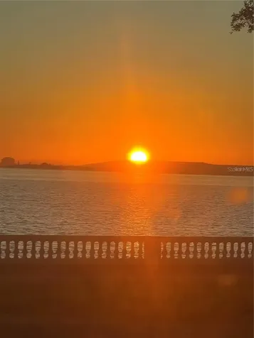 3301 Bayshore Boulevard Tampa FL 33629