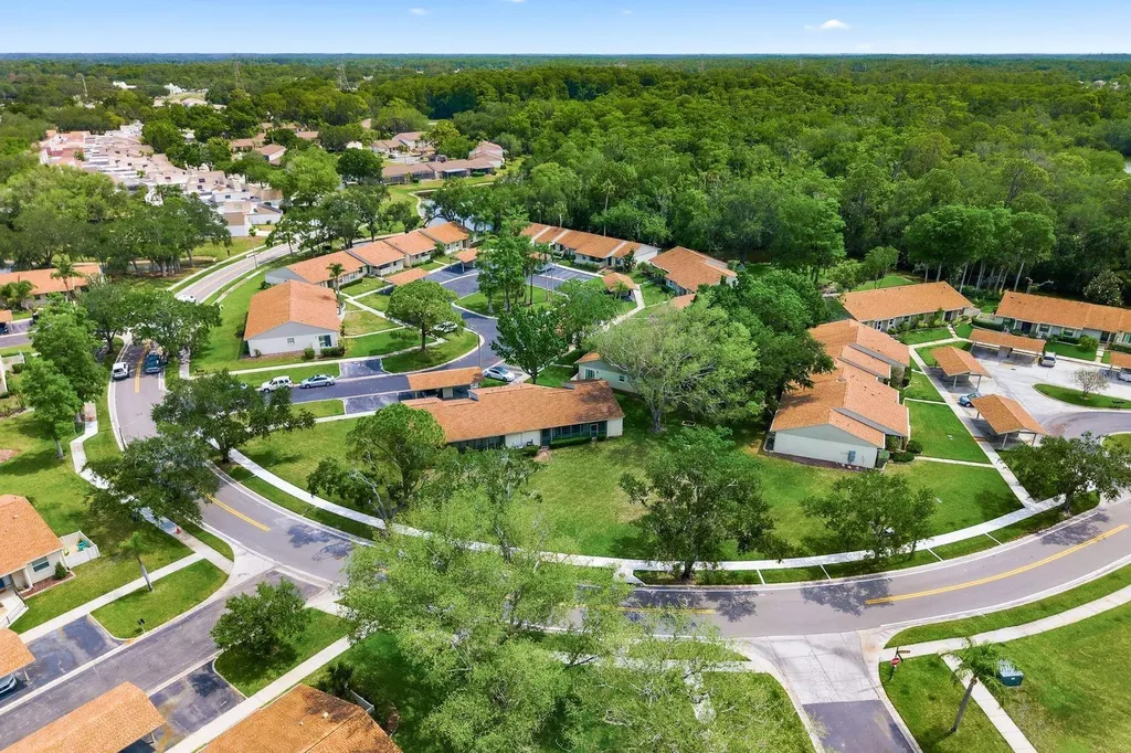 20 Evelyn Court Oldsmar FL 34677