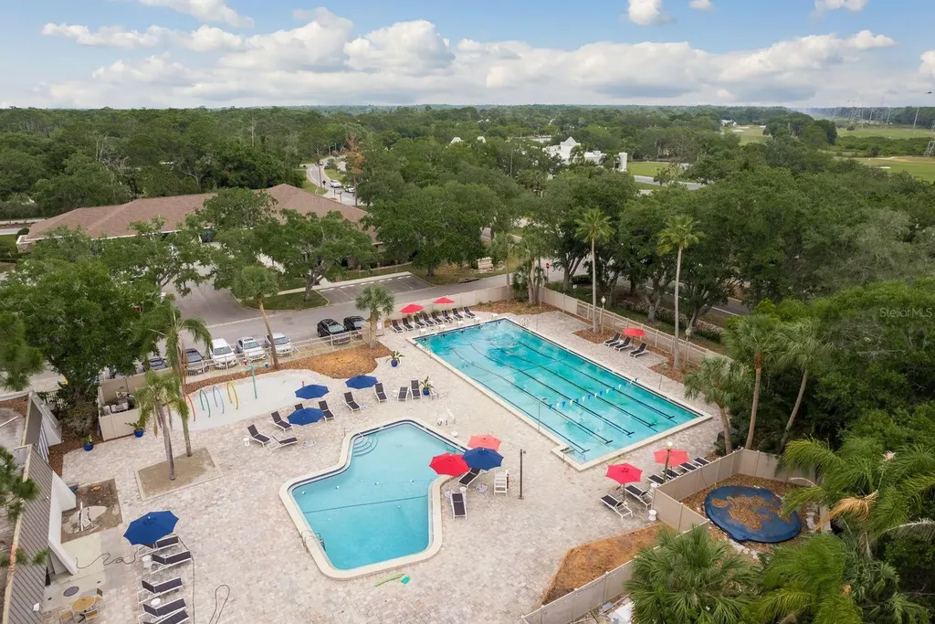 20 Evelyn Court Oldsmar FL 34677