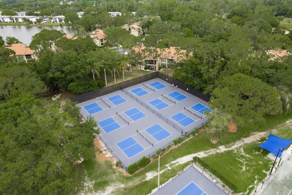 20 Evelyn Court Oldsmar FL 34677