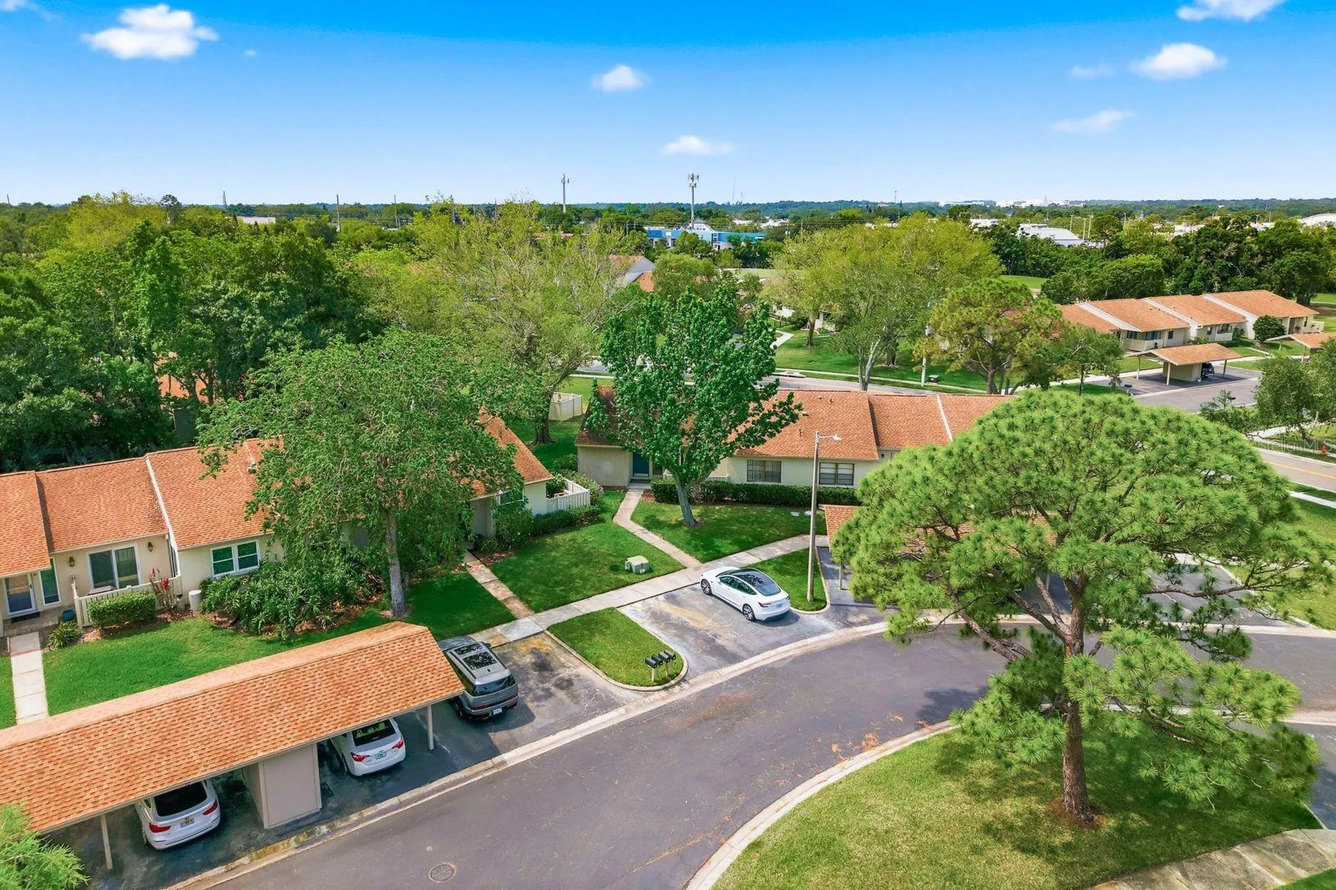 20 Evelyn Court Oldsmar FL 34677