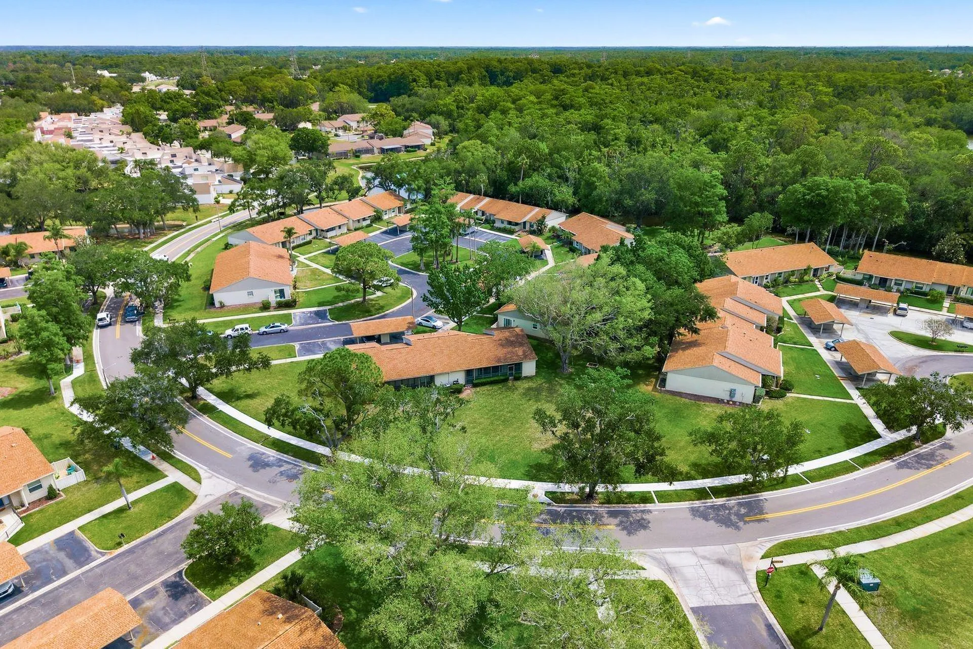 20 Evelyn Court Oldsmar FL 34677