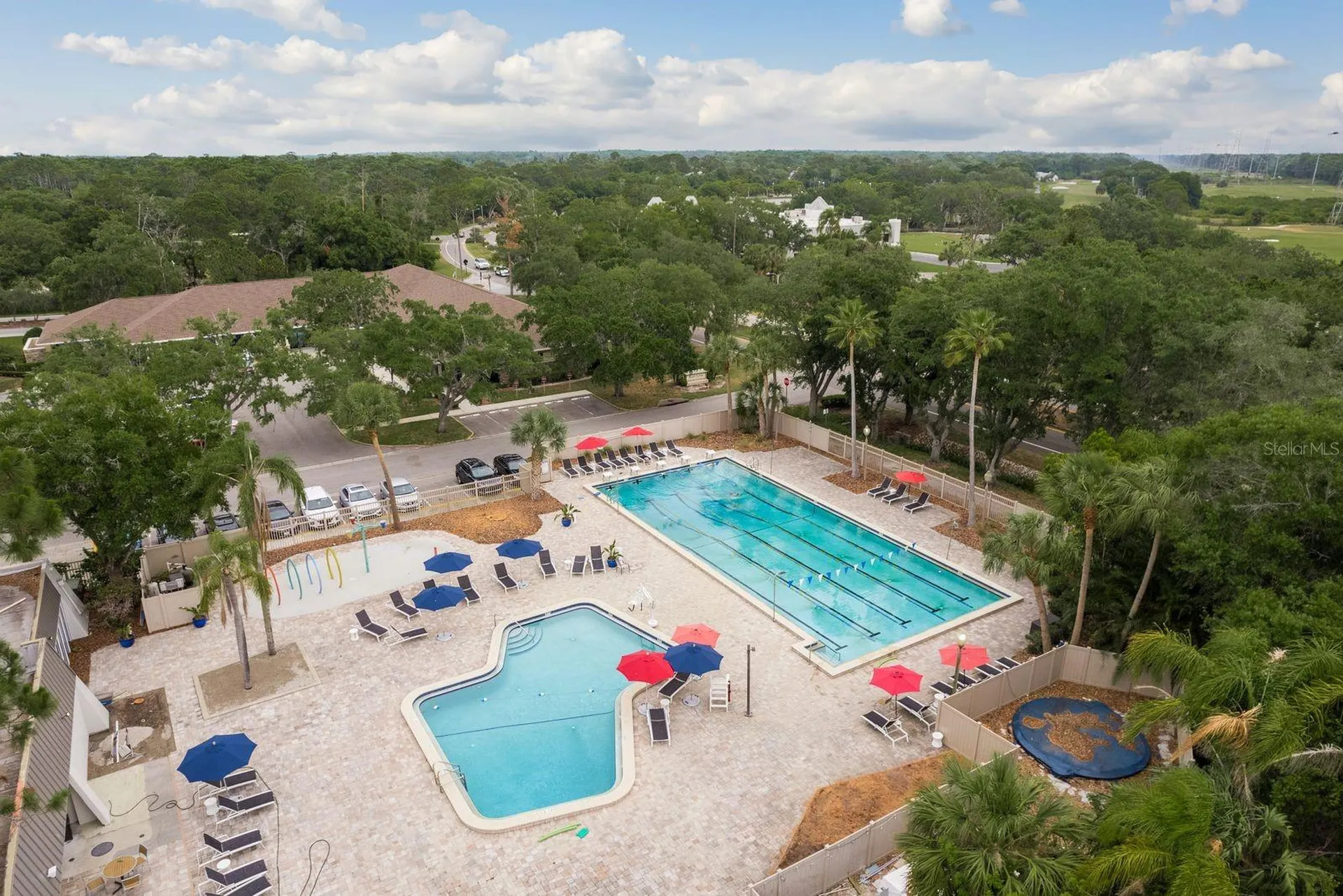 20 Evelyn Court Oldsmar FL 34677
