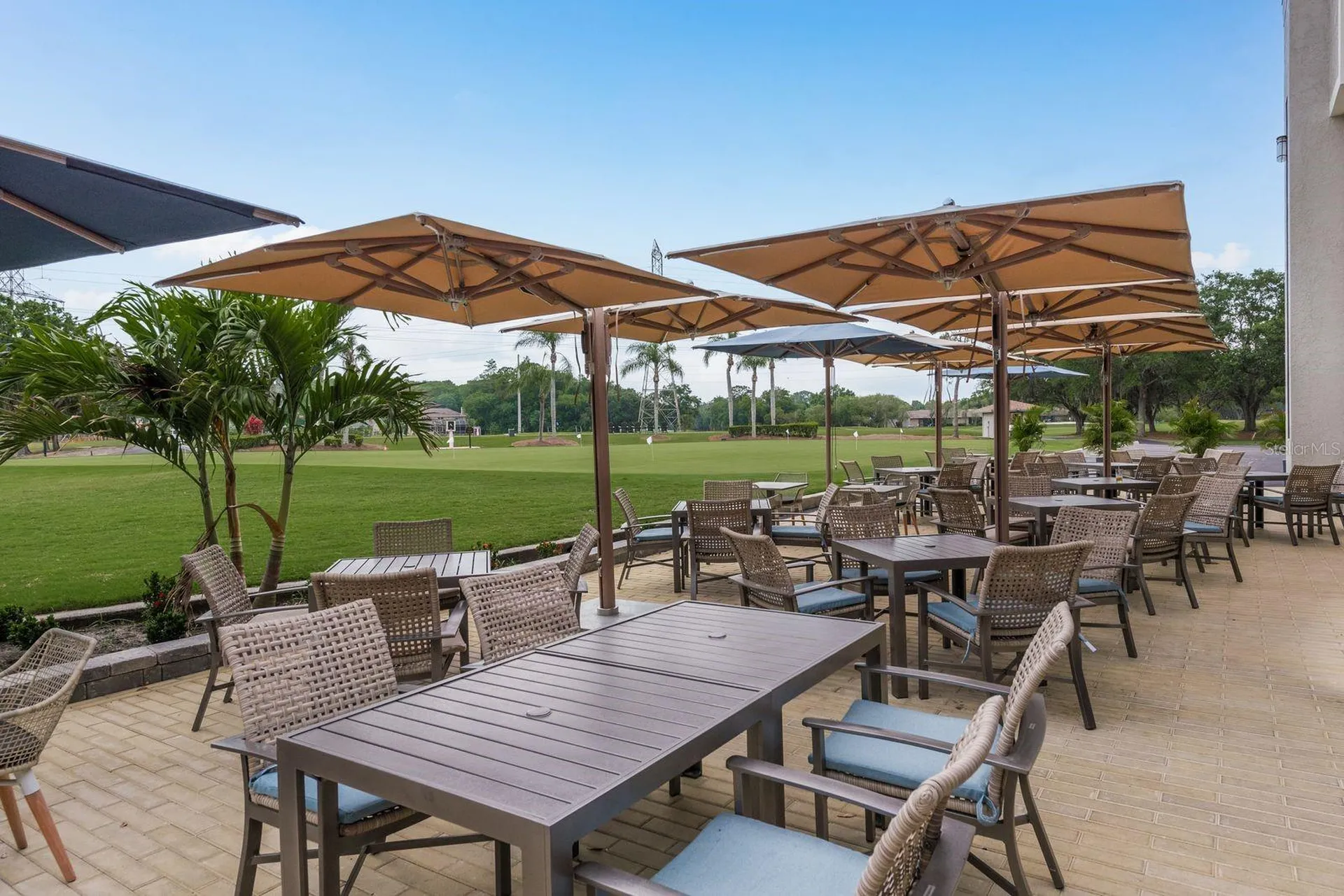 20 Evelyn Court Oldsmar FL 34677