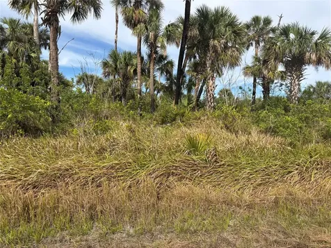 Melissa Terrace North Port FL 34286