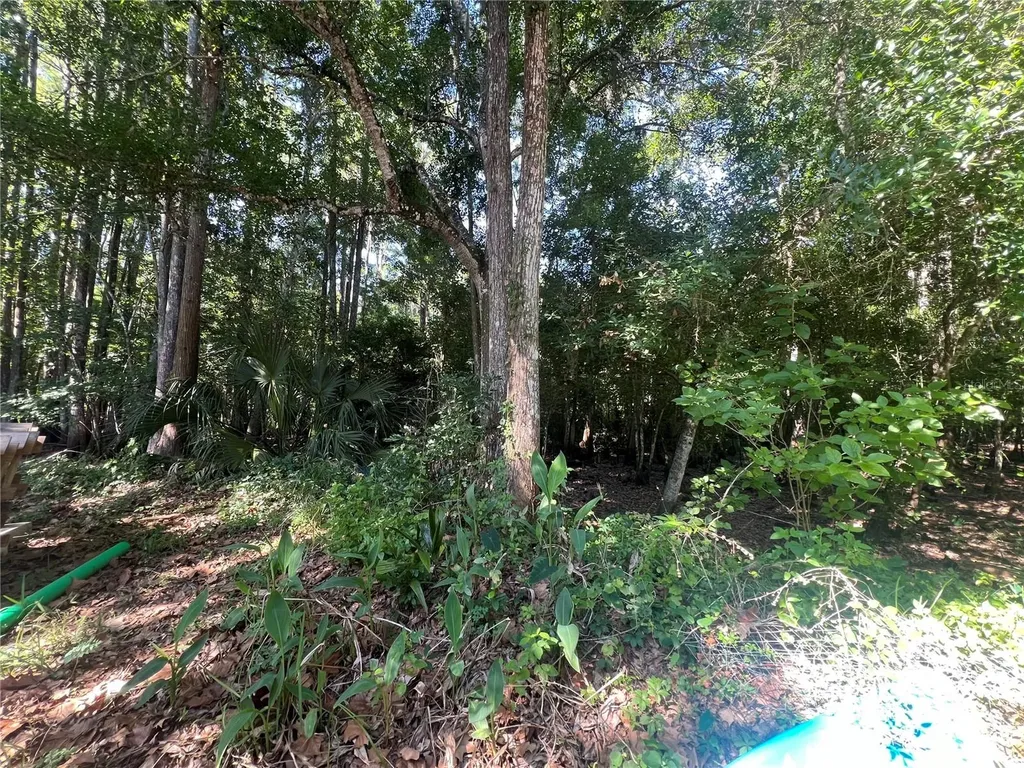9714 Mendel Drive New Port Richey FL 34654