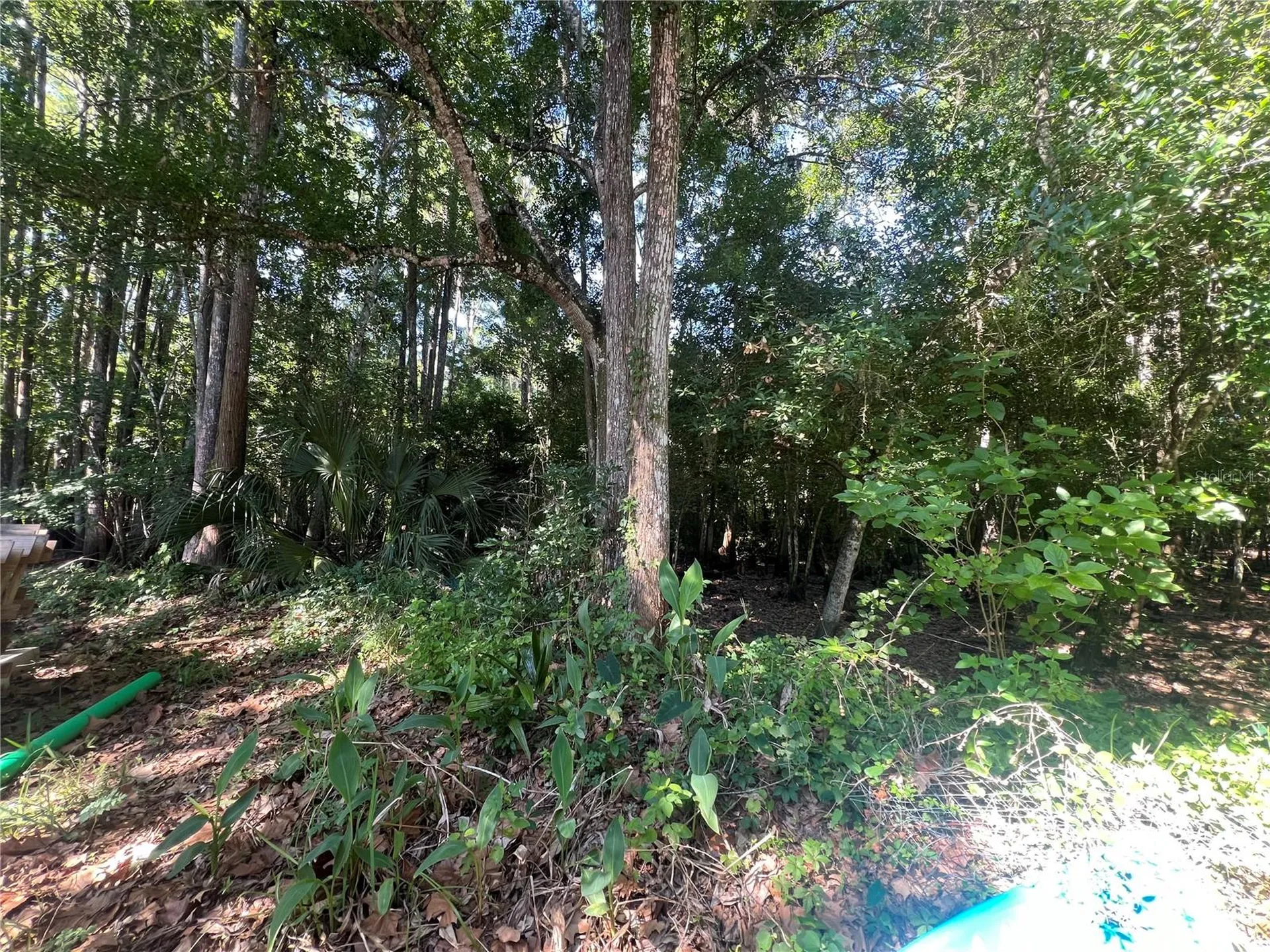 9714 Mendel Drive New Port Richey FL 34654
