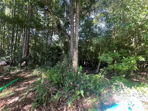 9714 Mendel Drive New Port Richey FL 34654