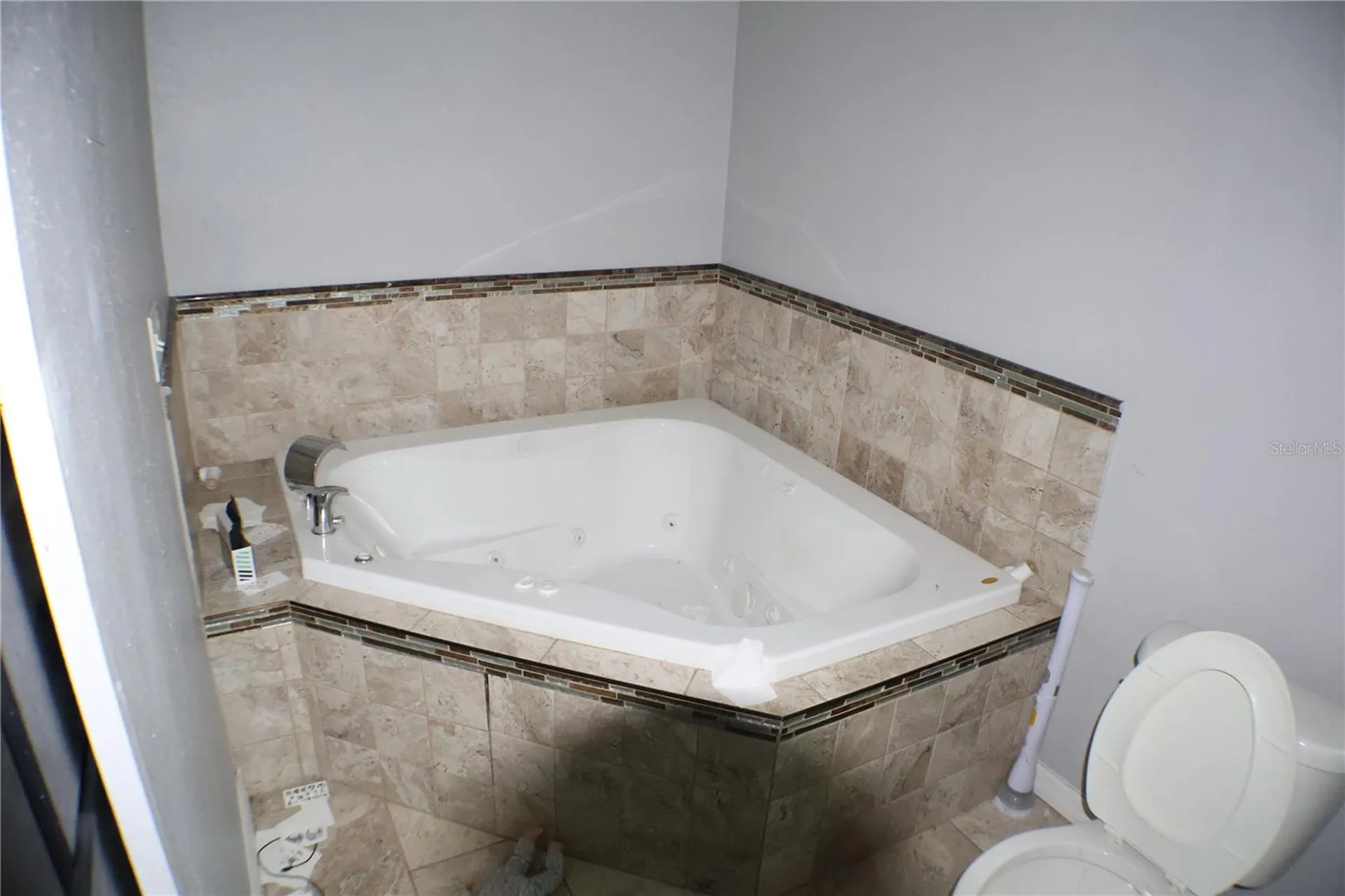 2002 Peaceful Palm Street Ruskin FL 33570