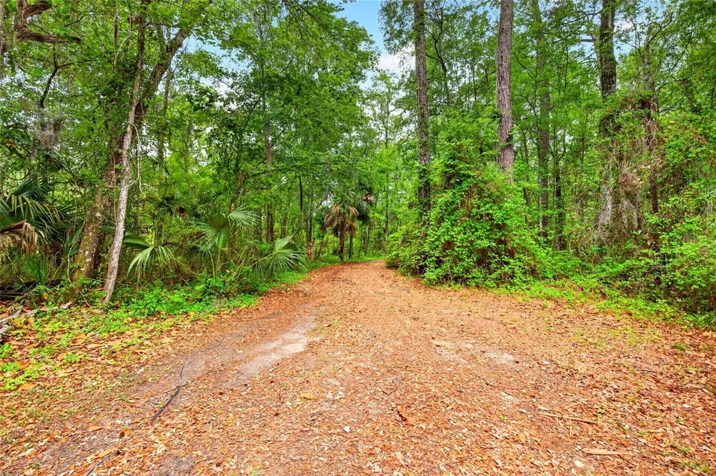16555 N Highway 329 Reddick FL 32686