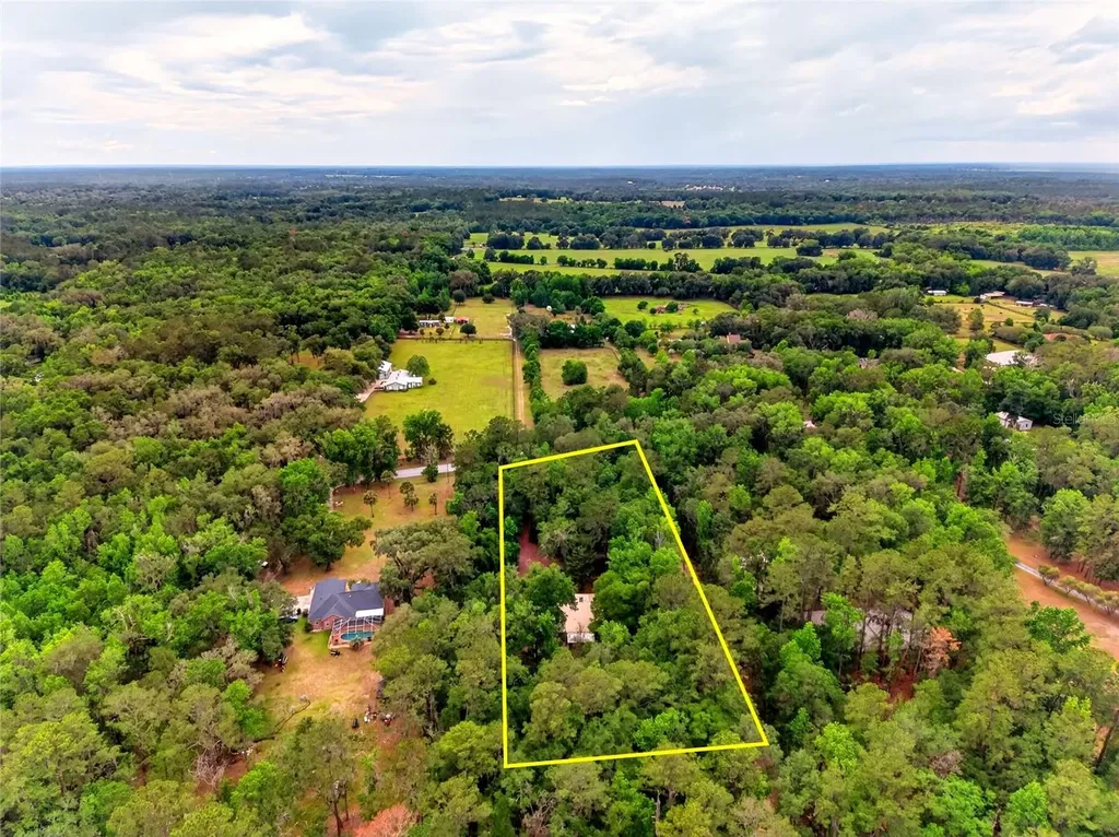 16555 N Highway 329 Reddick FL 32686