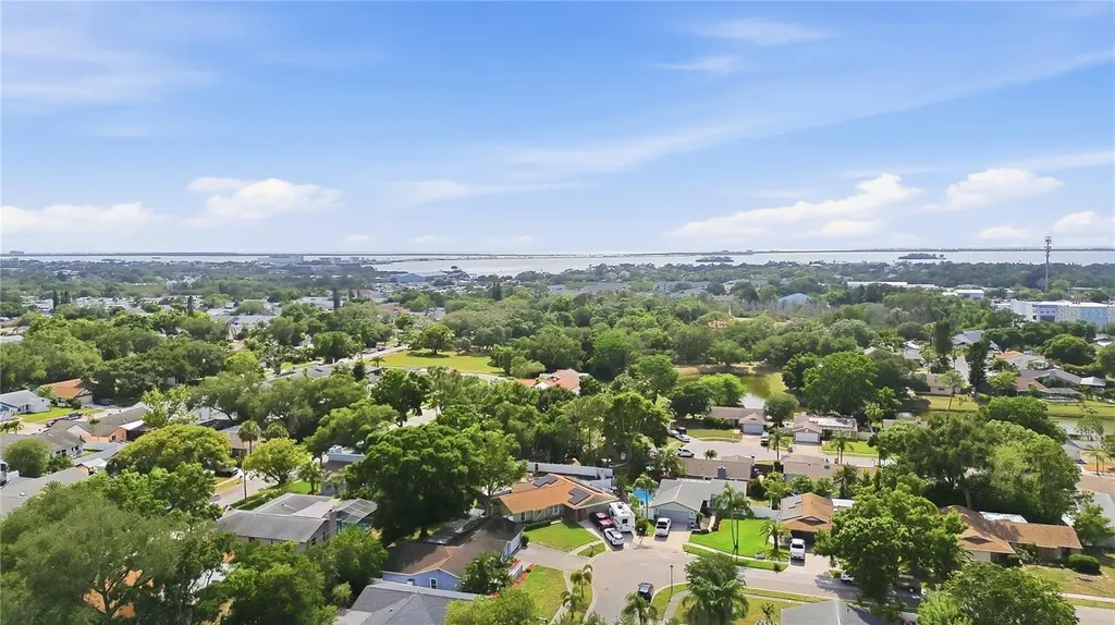 391 Walnut Court Palm Harbor FL 34683