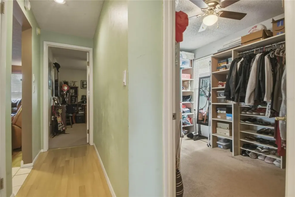 391 Walnut Court Palm Harbor FL 34683