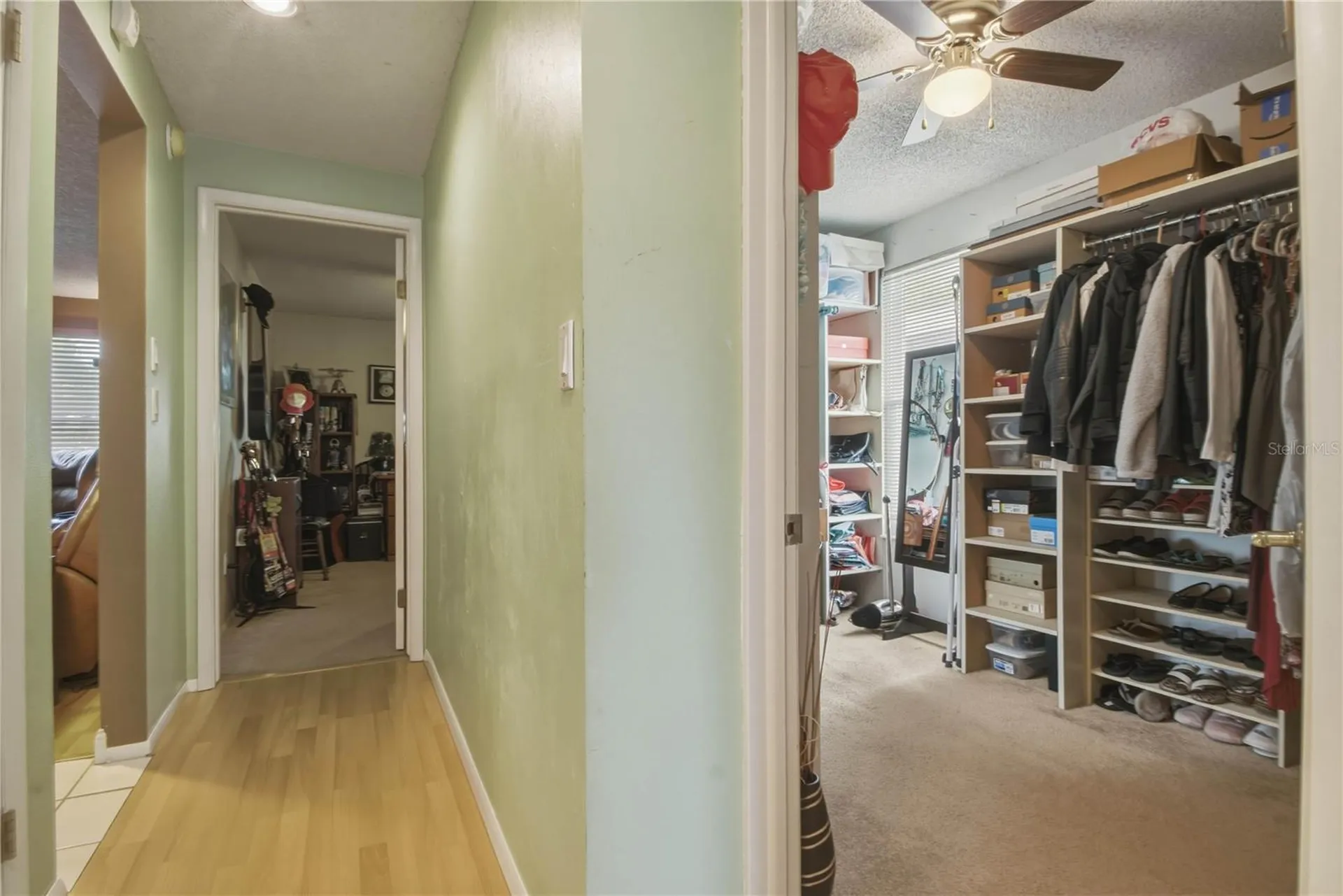 391 Walnut Court Palm Harbor FL 34683