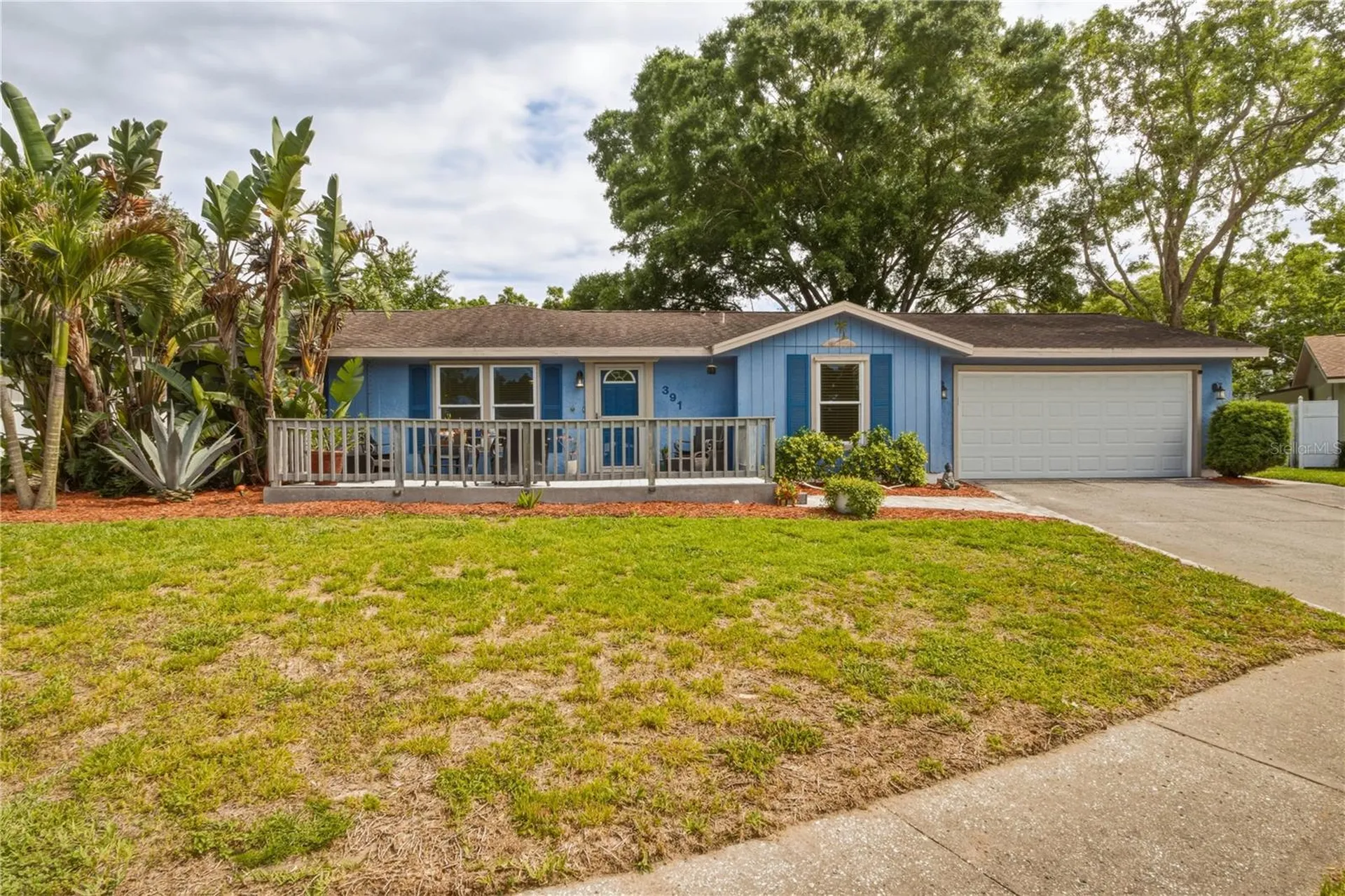 391 Walnut Court Palm Harbor FL 34683