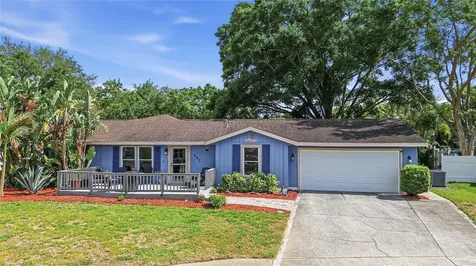 391 Walnut Court Palm Harbor FL 34683