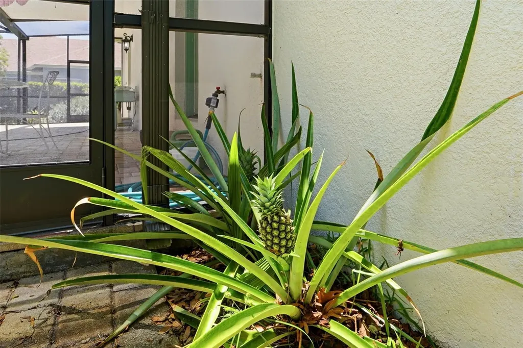 1709 Gulf Road Tarpon Springs FL 34689