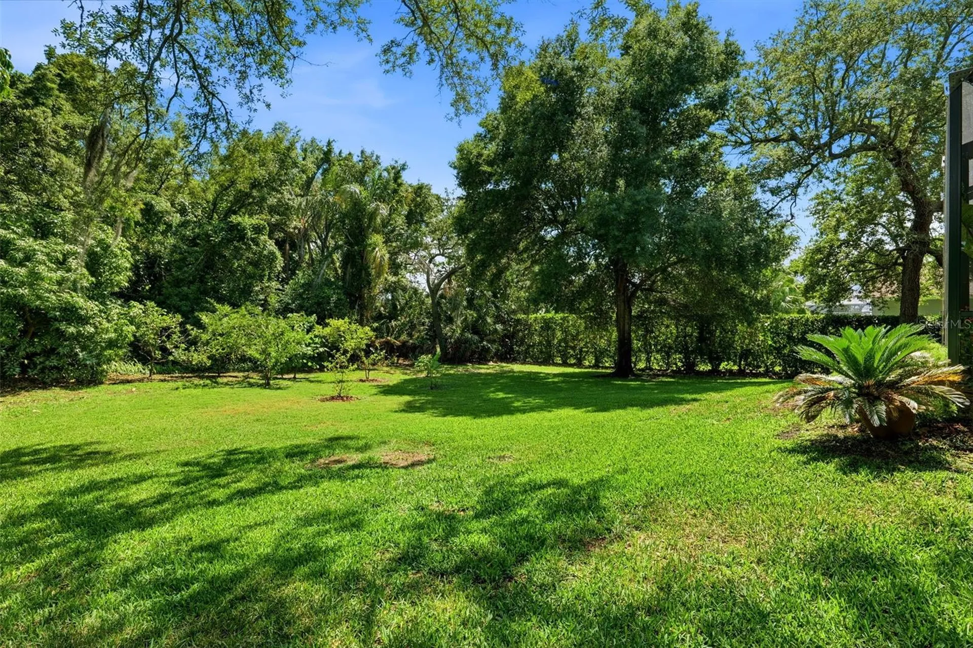 1709 Gulf Road Tarpon Springs FL 34689