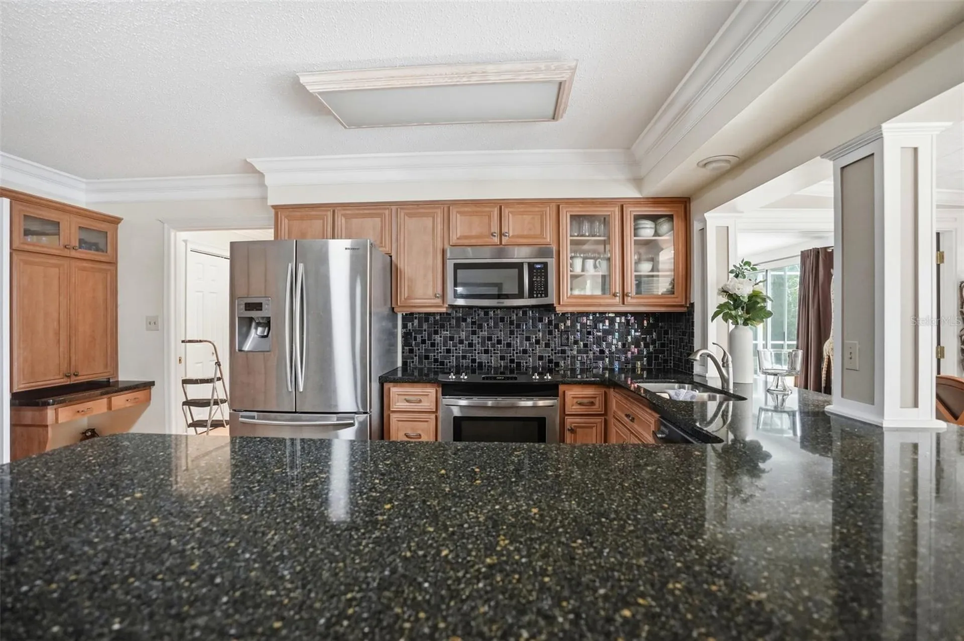 10002 Domingo Drive Brooksville FL 34601