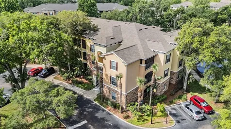 10103 Courtney Oaks Circle Tampa FL 33619