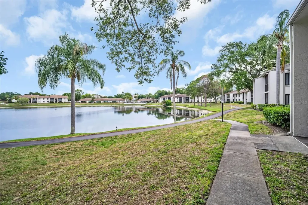 2523 Pine Ridge Way S Palm Harbor FL 34684